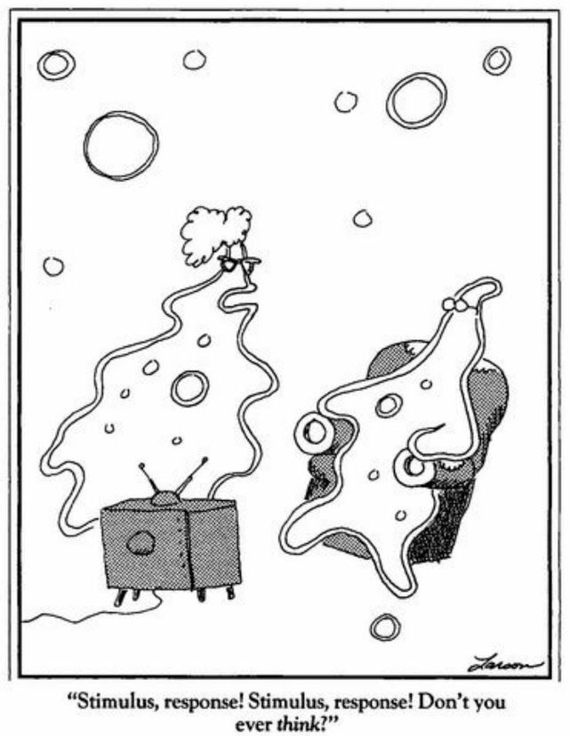 Amoeba Real Life...