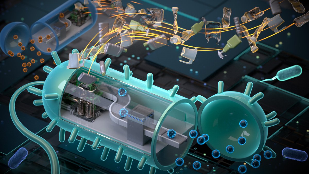 Artistic conceptualization of a circular bioeconomy, converting plastic waste into valuable products through engineered microbes. Image courtesy Jinjin Diao.